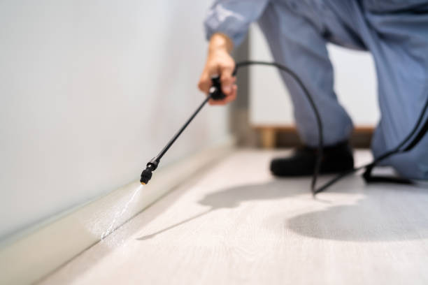 Licensed Ant Control service in South Rockwood, MI - Nex Pest Control