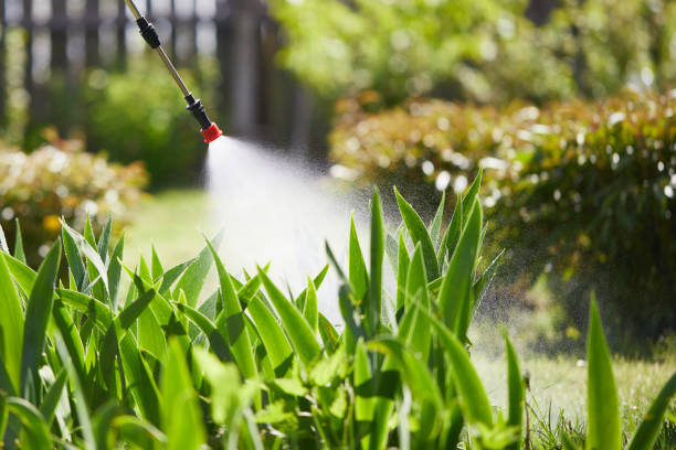 24/7 Emergency Ant Control experts in South Rockwood, MI