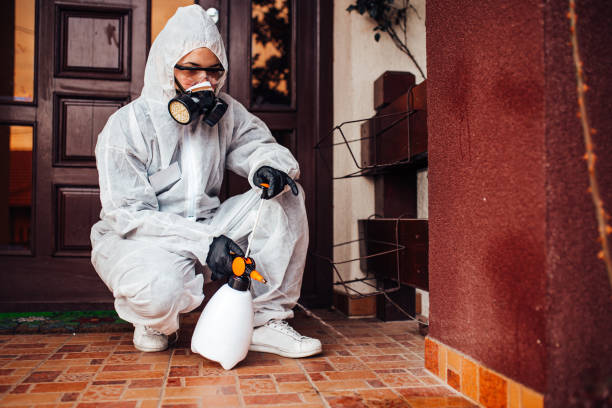 Reliable Ant Control contractor in South Rockwood, MI by Nex Pest Control