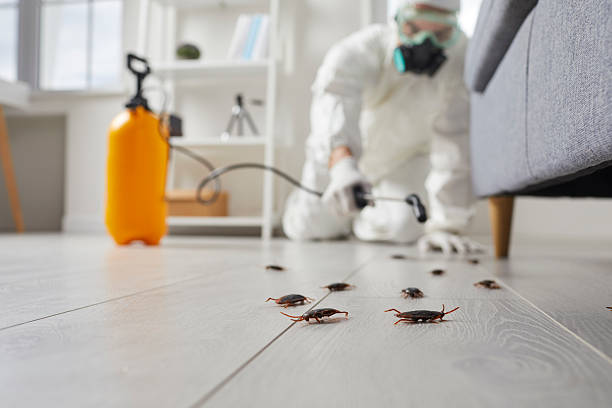Trusted Rodent Control service in South Rockwood, MI - Nex Pest Control