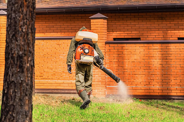 Trusted Bed Bug Control service in South Rockwood, MI - Nex Pest Control